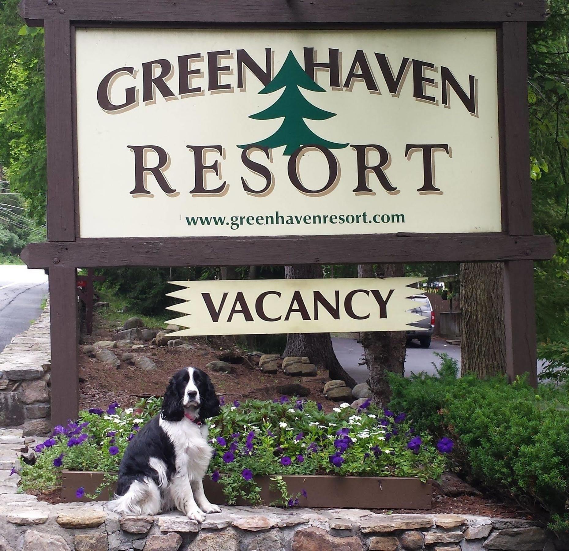 Green Haven Resort 레이크 헤오르헤 외부 사진